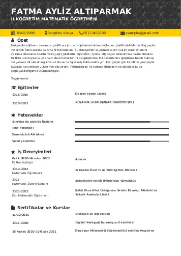 Matematik Öğretmeni Cv Örnekleri cv indir